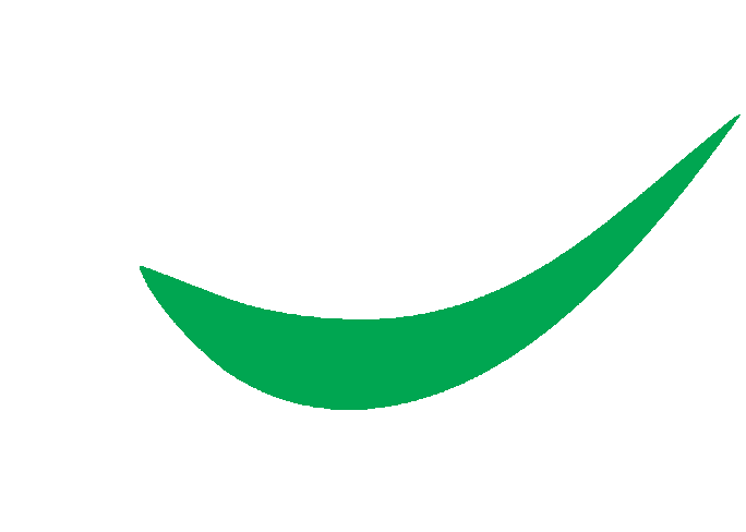 Optivision Optical Service